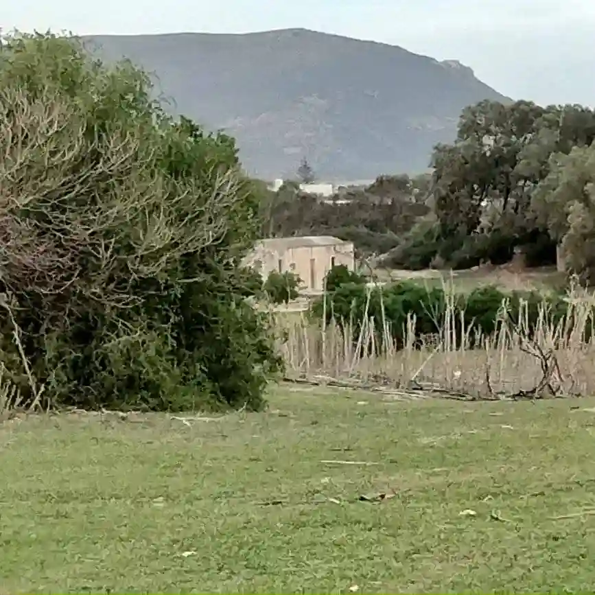 Terrain Agricole Près de la mer - Vue 2