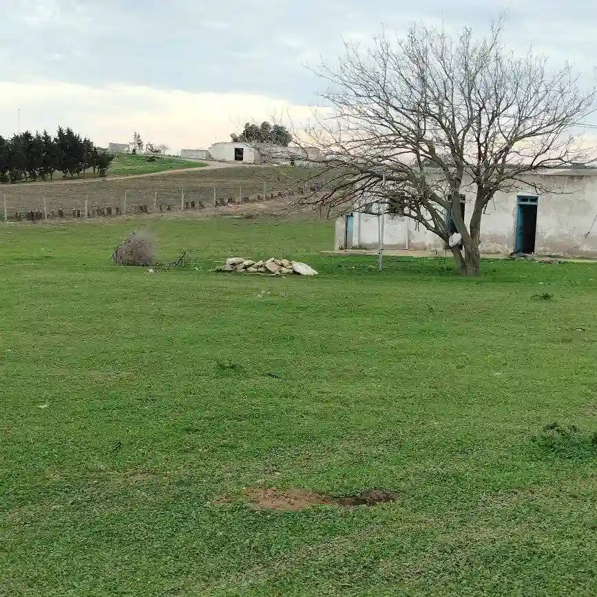 Terrain Agricole Près de la mer - Vue 3