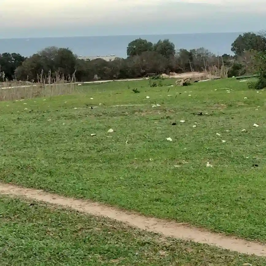 Terrain Agricole Près de la mer - Vue 4