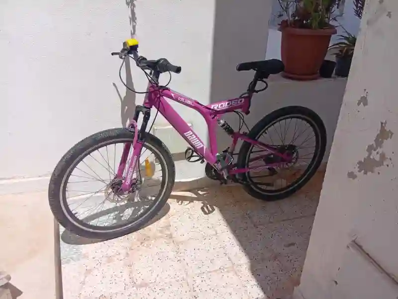 Vélo VTT Rodeo Black Down - Vue 5