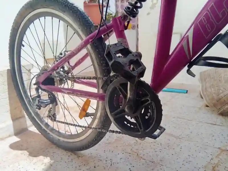 Vélo VTT Rodeo Black Down - Vue 6