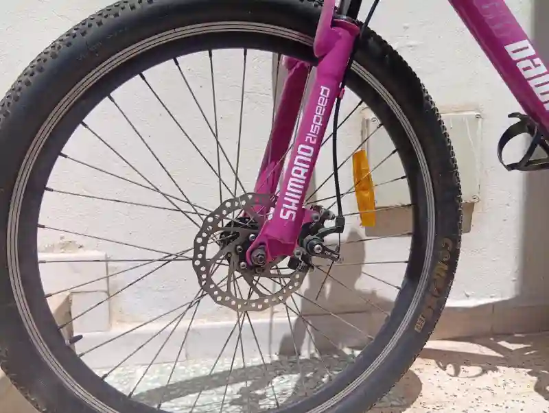 Vélo VTT Rodeo Black Down - Vue 7
