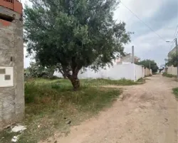 Lot de Terrain de 250 m² à Hammamet à Vendre 51355351