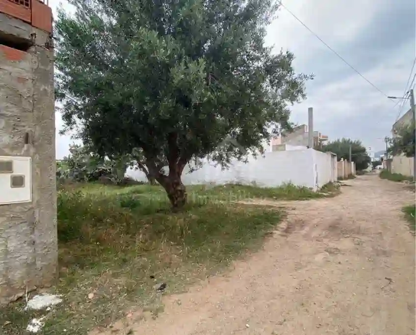 Lot de Terrain de 250 m² à Hammamet à Vendre 51355351
