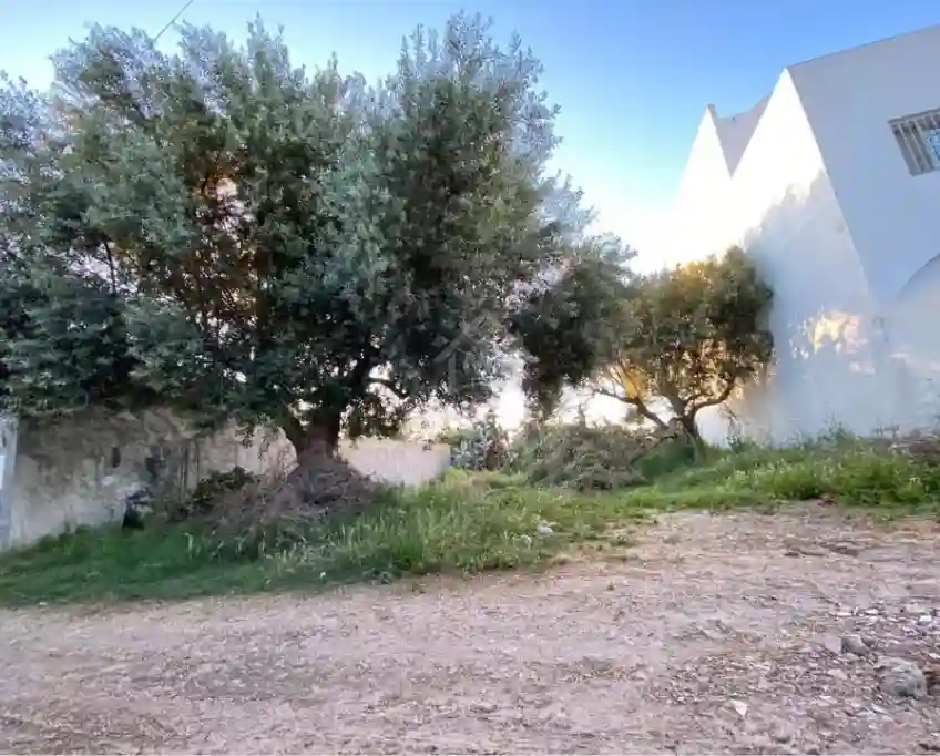 Lot de Terrain de 250 m² à Hammamet à Vendre 51355351 - Vue 1