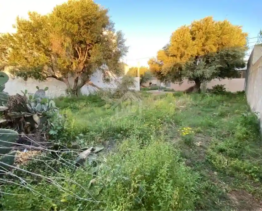 Lot de Terrain de 250 m² à Hammamet à Vendre 51355351 - Vue 2