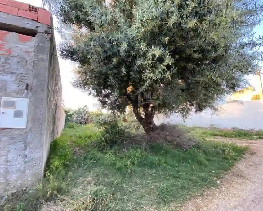 Lot de Terrain de 250 m² à Hammamet à Vendre 51355351 - Vue 3