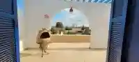 Grande Propriété À Vendre À Djerba Arkou-réf V668 - Vue 1