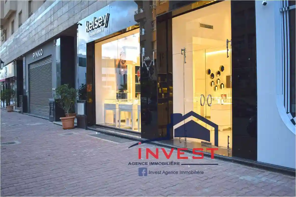 Local Commercial lac - Vue 2