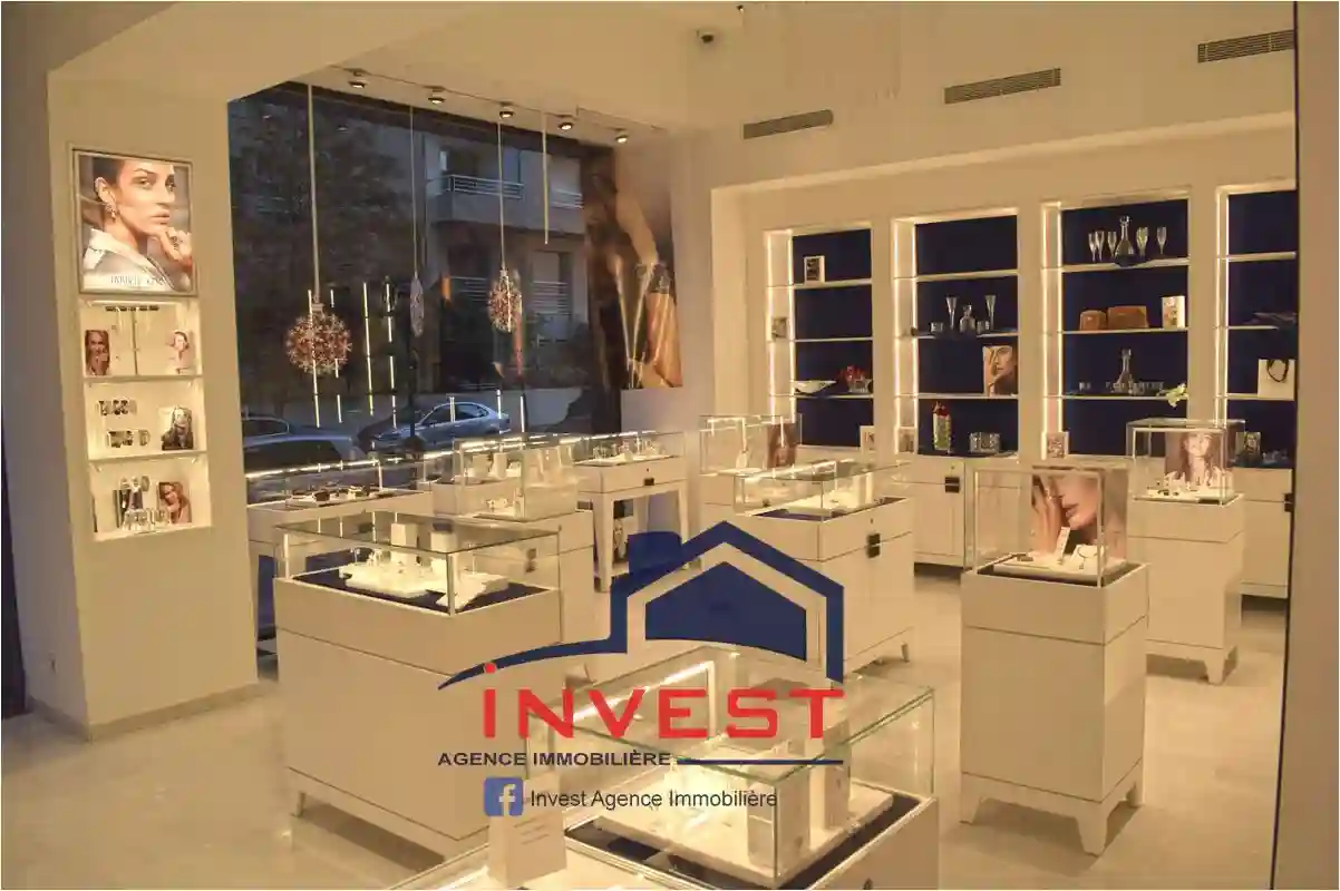 Local Commercial lac - Vue 5