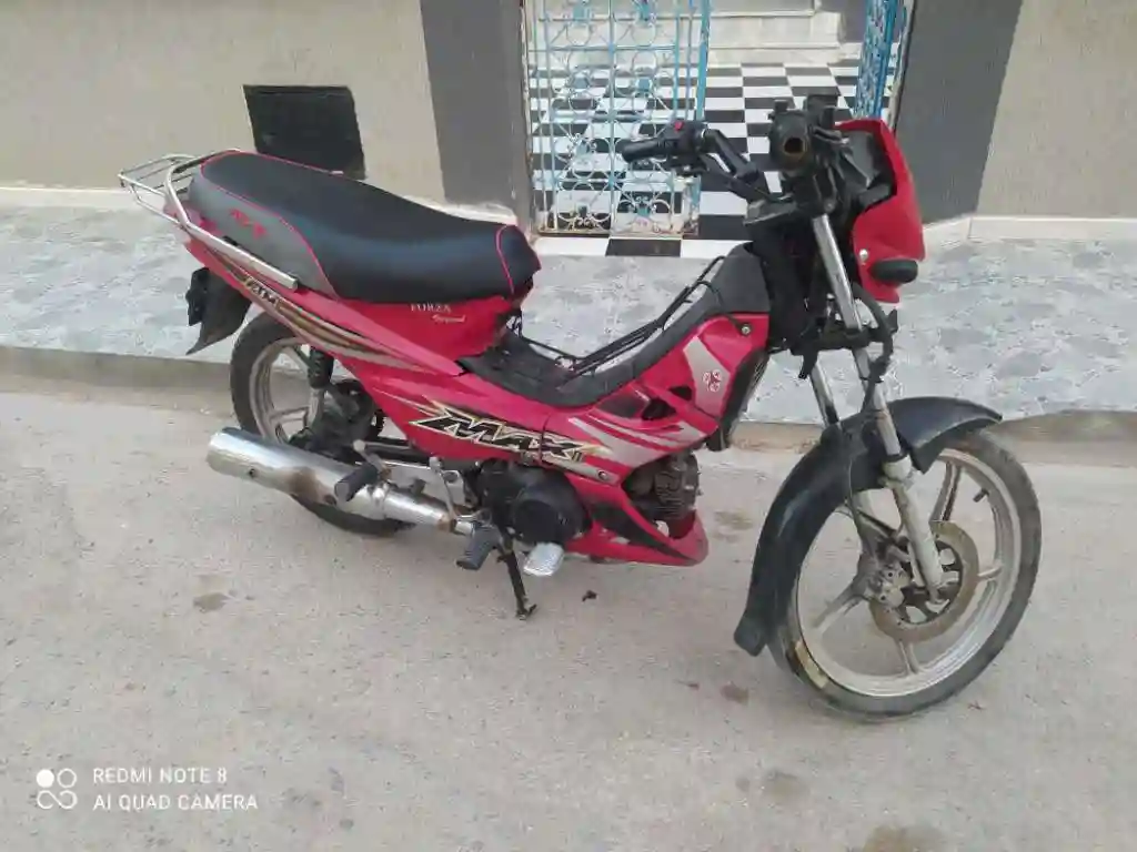 Forza Ftm 110cc 29 118 254 - Vue 1