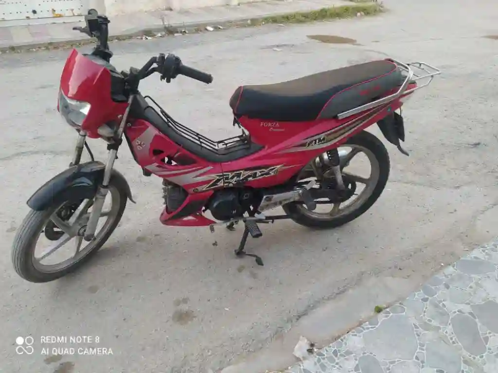 Forza Ftm 110cc 29 118 254 - Vue 3