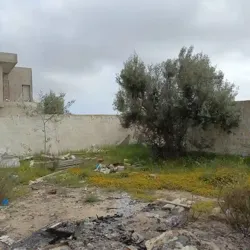 Maison non Fini de 300m av à Hammamet
