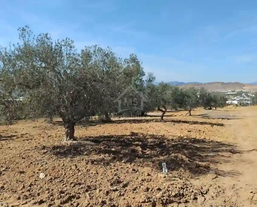 Un Terrain de 1688 m² à Vendre à Hammamet sud 51355351