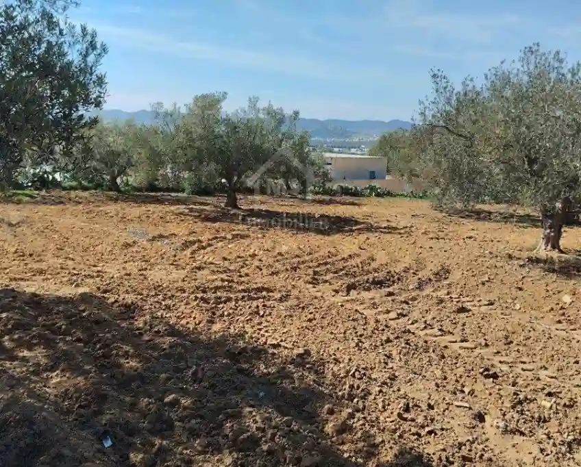 Un Terrain de 1688 m² à Vendre à Hammamet sud 51355351 - Vue 1