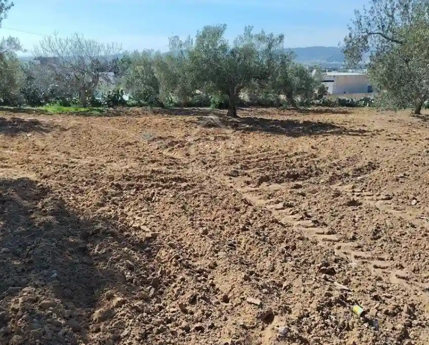 Un Terrain de 1688 m² à Vendre à Hammamet sud 51355351 - Vue 2