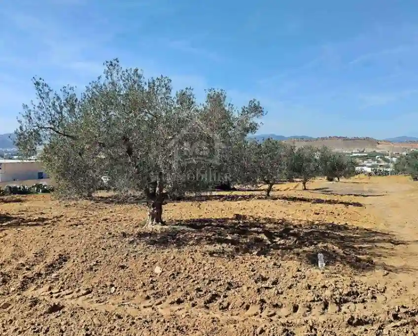 Un Terrain de 1688 m² à Vendre à Hammamet sud 51355351 - Vue 3