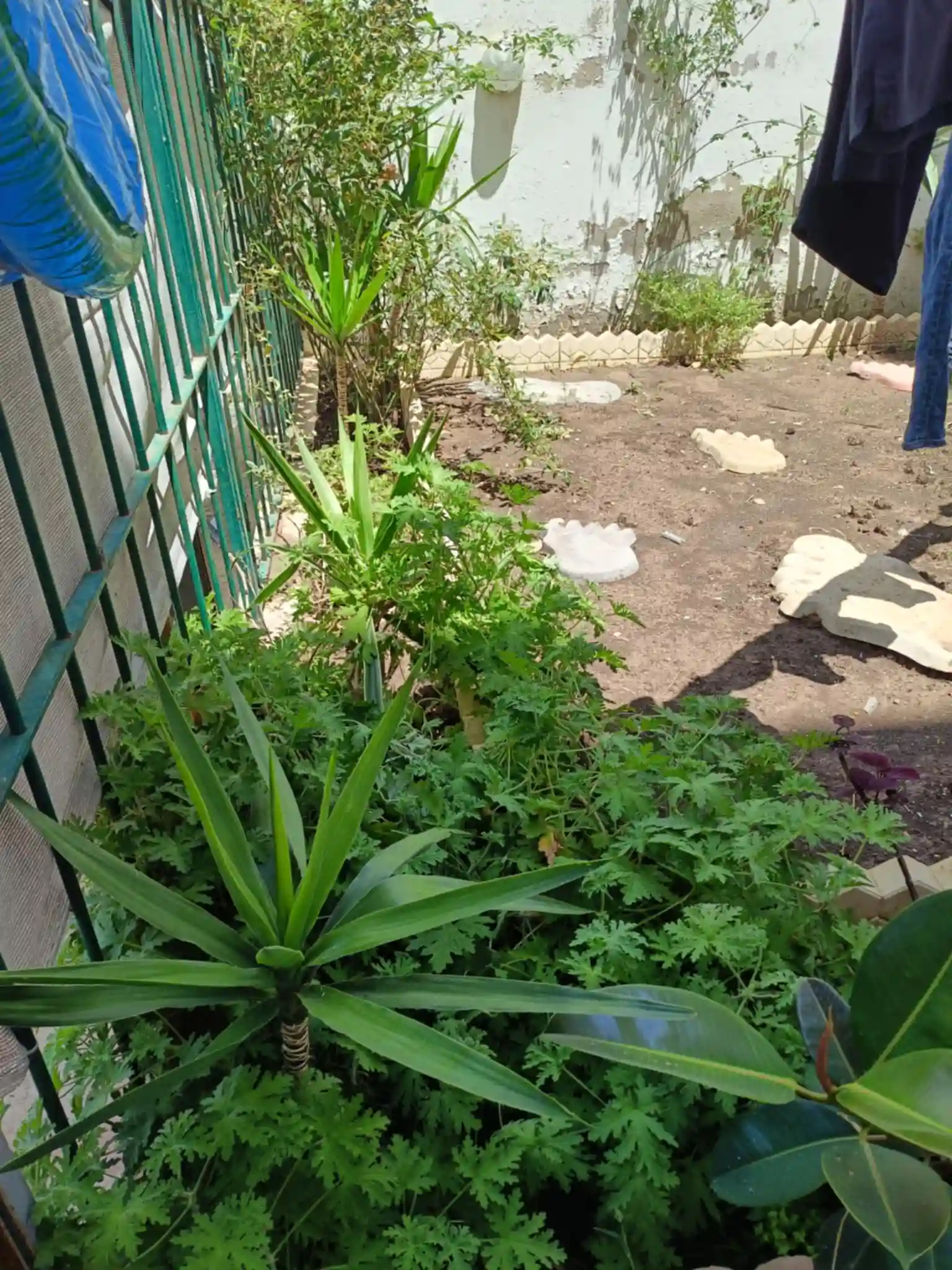 Appartement Mourouj 6 rdc Avec Jardin à El Mourouj - Vue 1