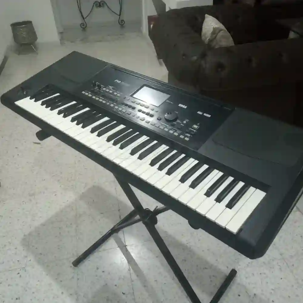 Korg Pa300