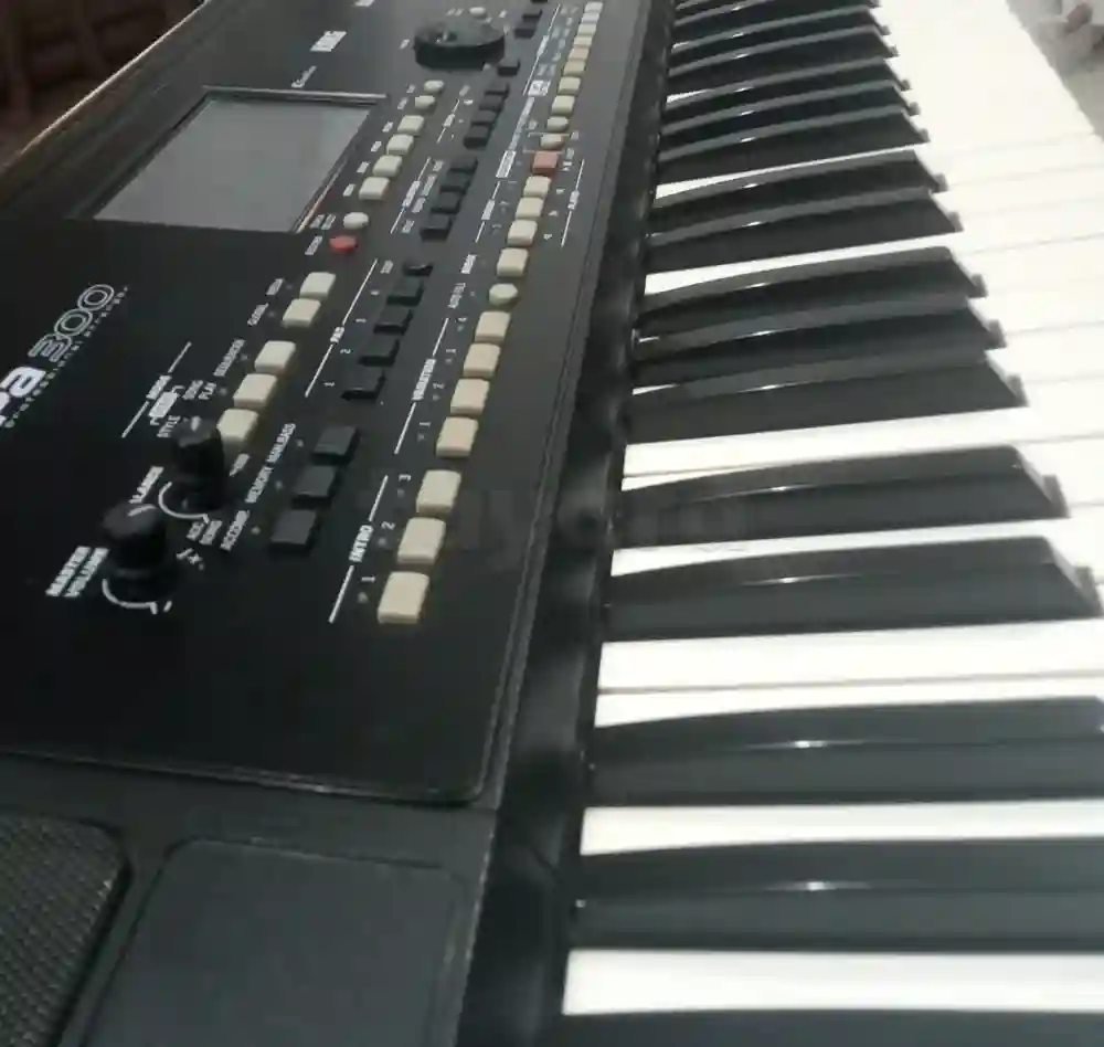 Korg Pa300 - Vue 3