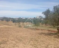 Terrain de 2000 m² à Hammamet sud à Vendre 51355351