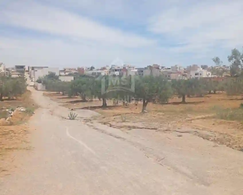 Terrain de 2000 m² à Hammamet sud à Vendre 51355351 - Vue 3
