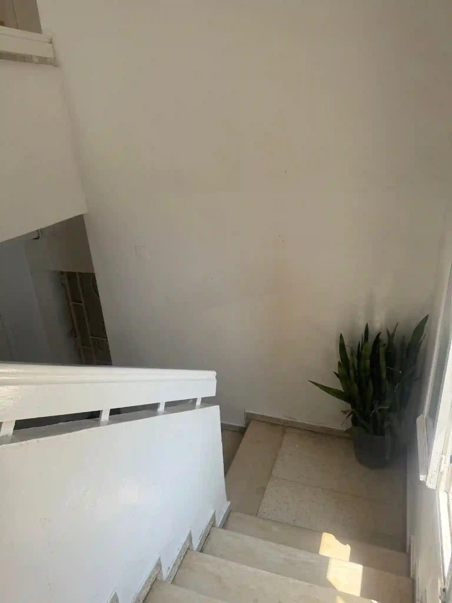 Appartement au Mourouj 1 sur le Route Principale à El Mourouj - Vue 4