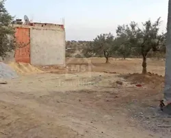 Un Terrain de 130 m² à Vendre à Hammamet sud 51355351