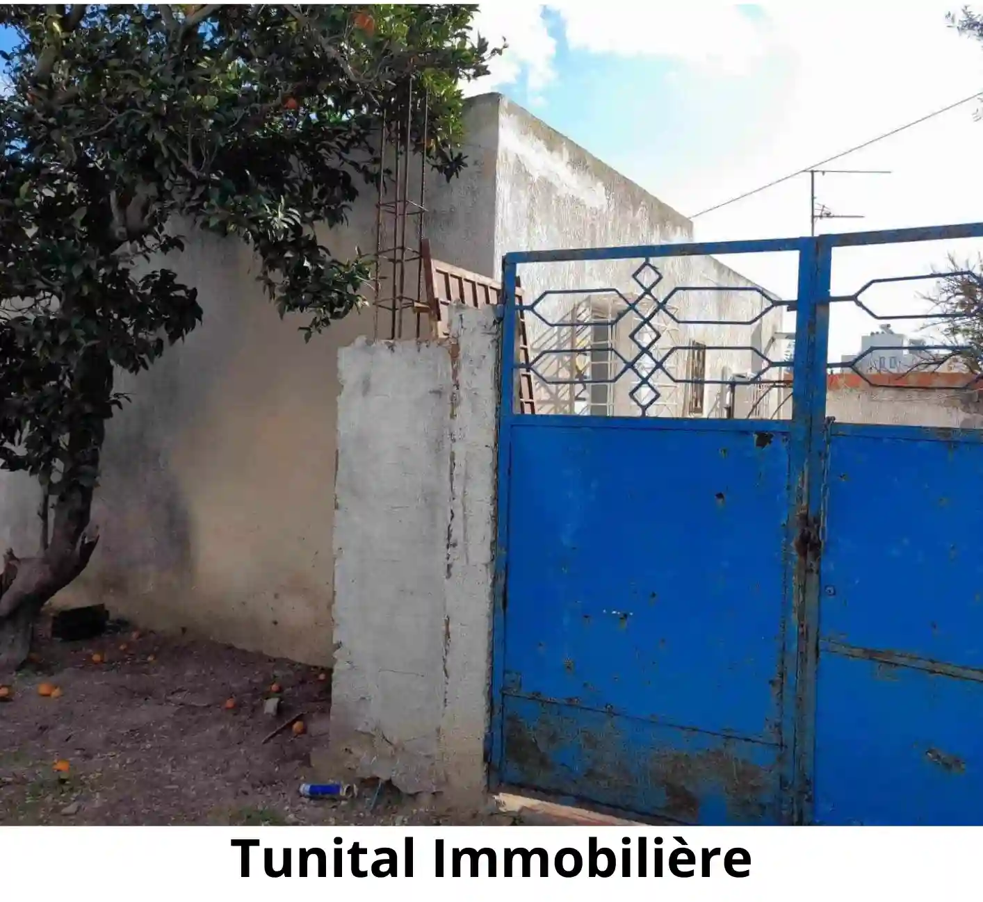 La Soukra Sidi Fraj Studio à Retaper ou à Raser à Sidi Frej - Vue 1