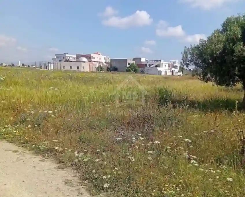 Un Terrain de 1000 m² à Km71 Coté Plage à Vendre 51355351