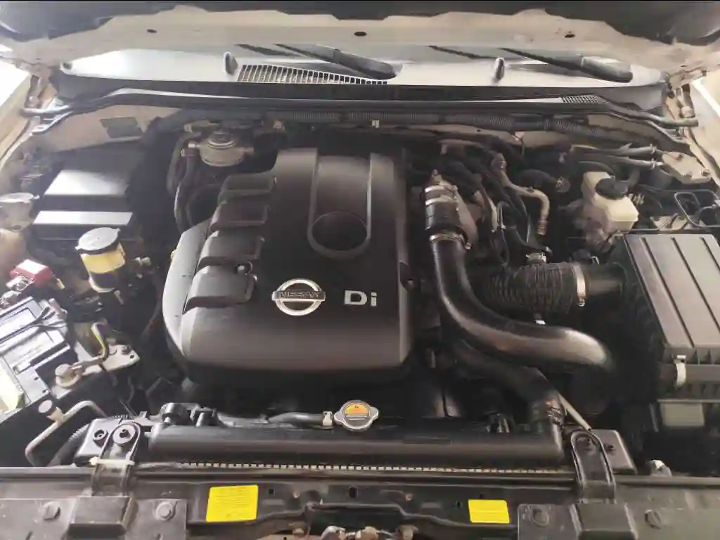 Nissan Navara - Vue 1