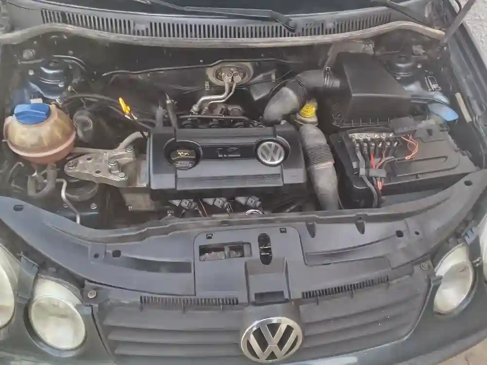 Polo 5 à Vendre - Vue 2