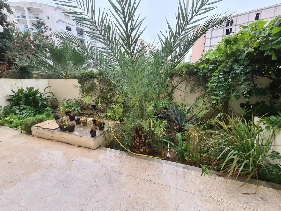 A Vendre Appartement S2 Avec Jardin Menzah 7 bis - Vue 3