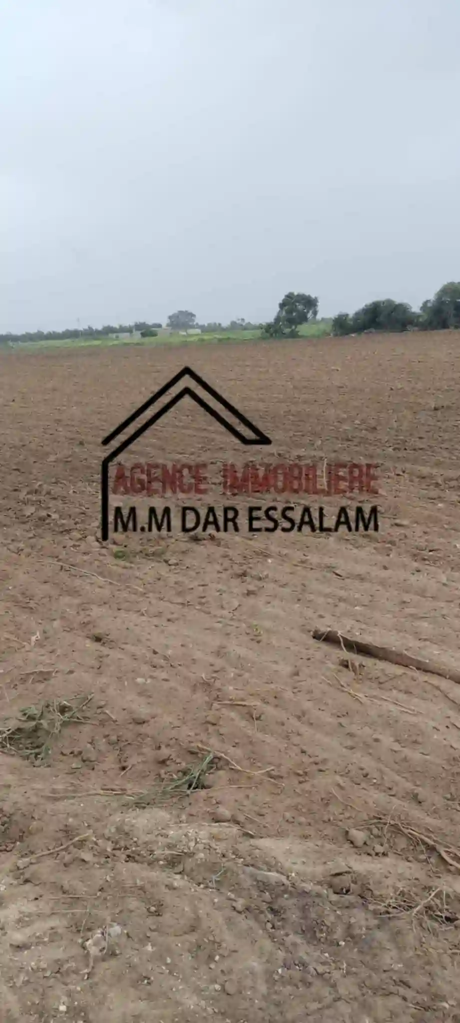 Terrain Agricole à Vendre