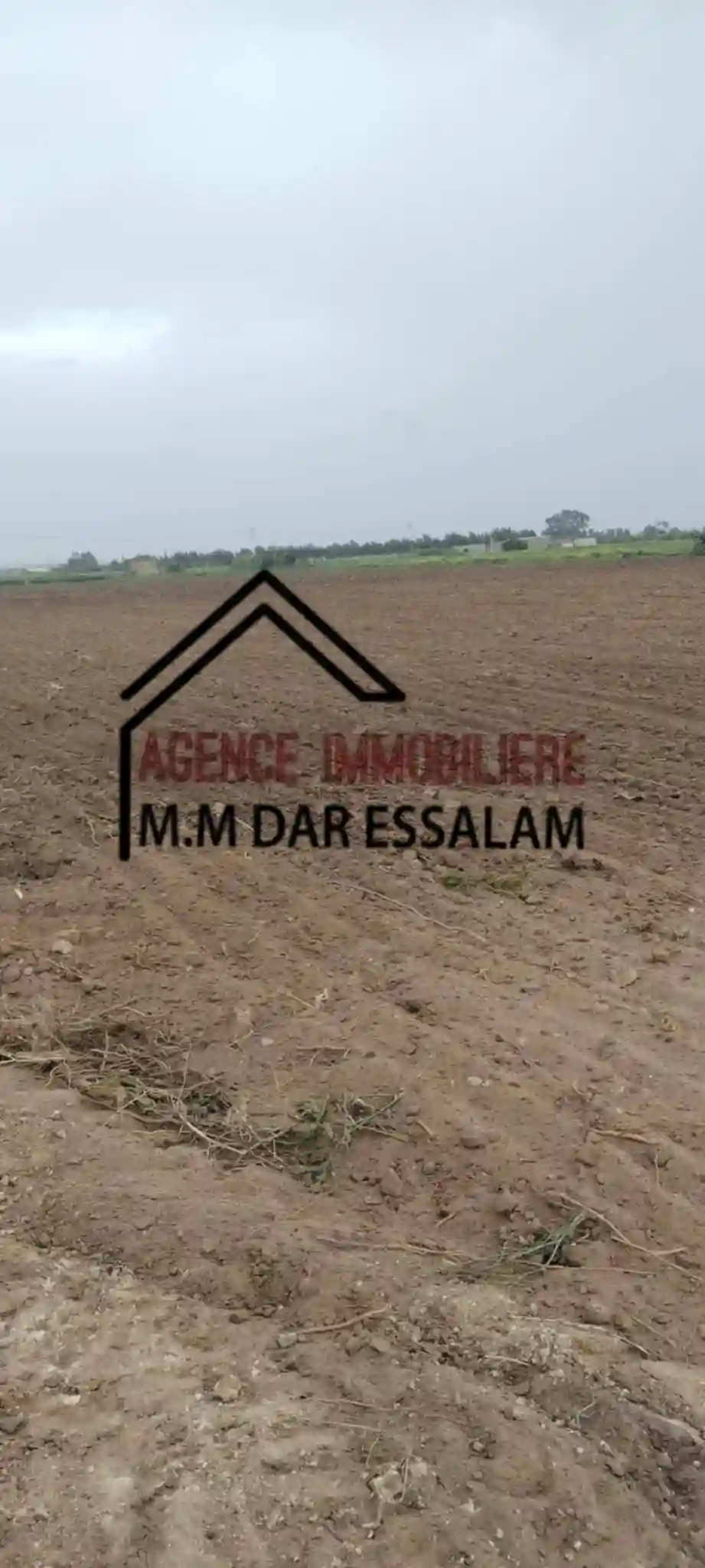 Terrain Agricole à Vendre - Vue 2