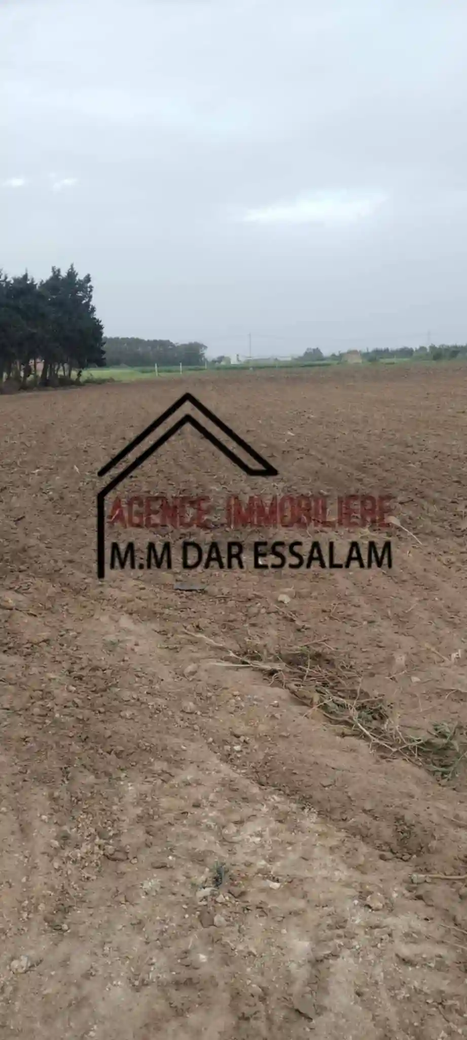 Terrain Agricole à Vendre - Vue 3
