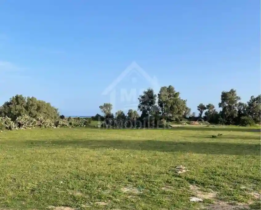 2 Lots de Terrain vue de mer à Vendre à Jinen Béni Khiar 51355351 - Vue 4