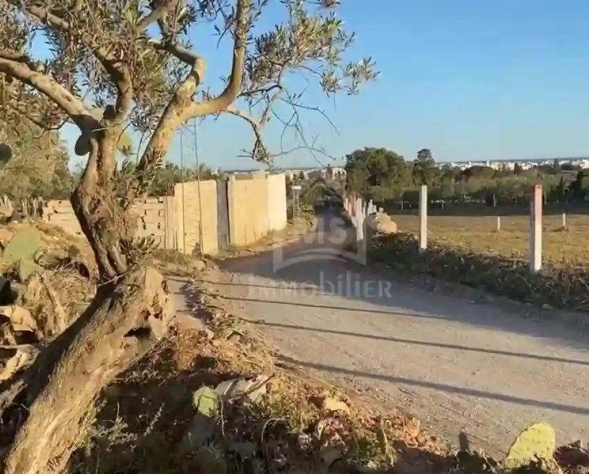 Un Terrain vue de mer à Vendre à Béni Khiar 51355351 - Vue 2