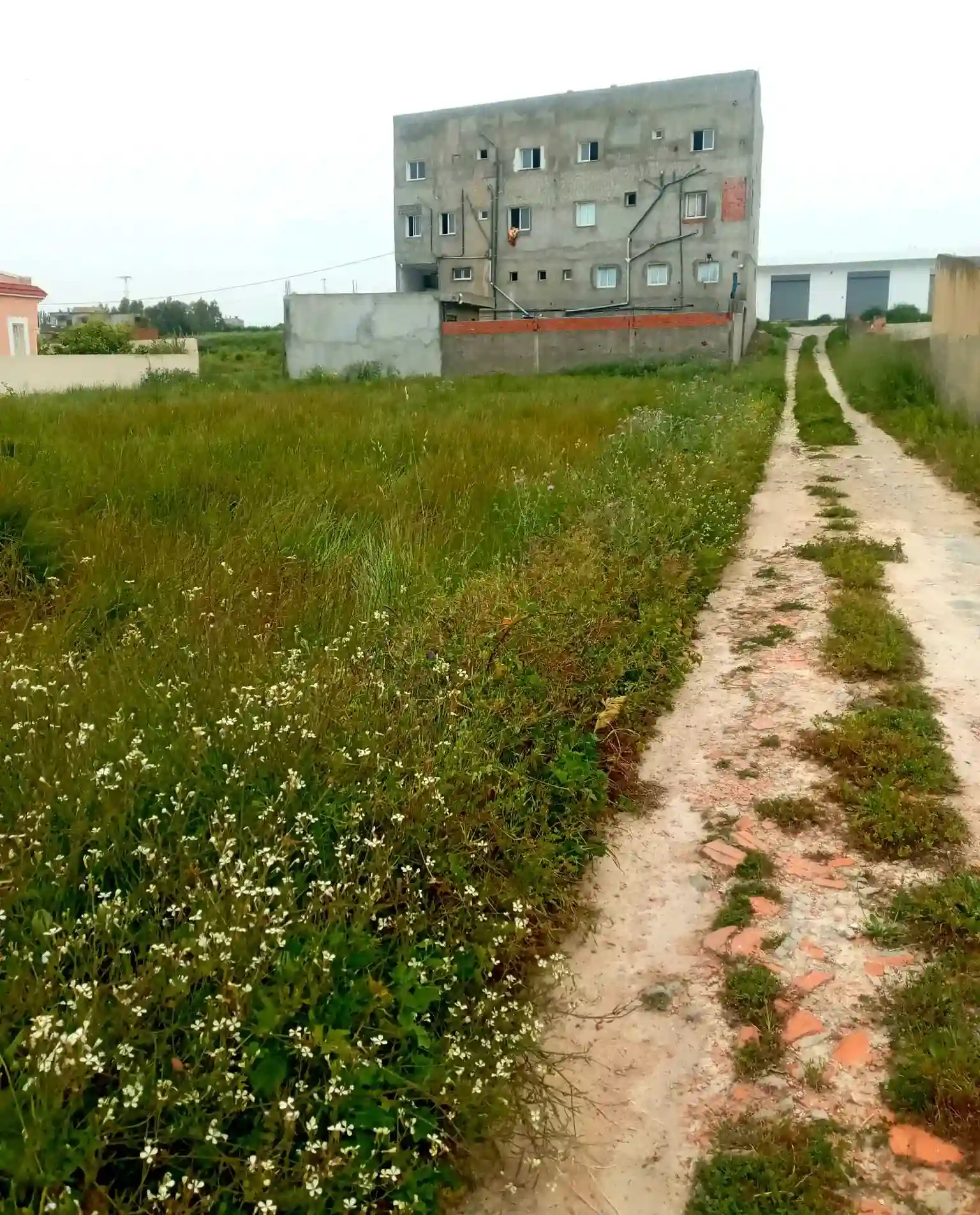 Terrain a Vendre - Vue 1