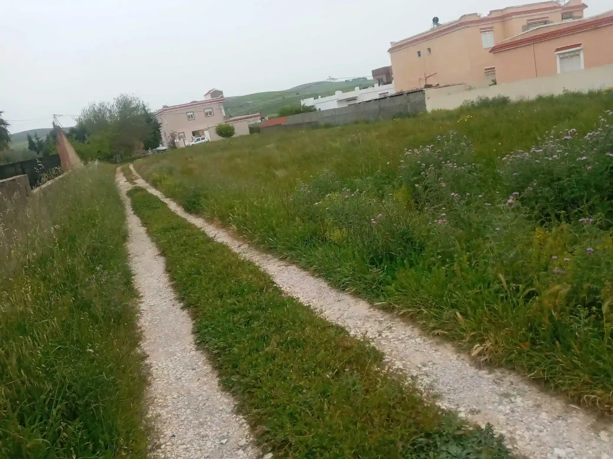 Terrain a Vendre - Vue 4