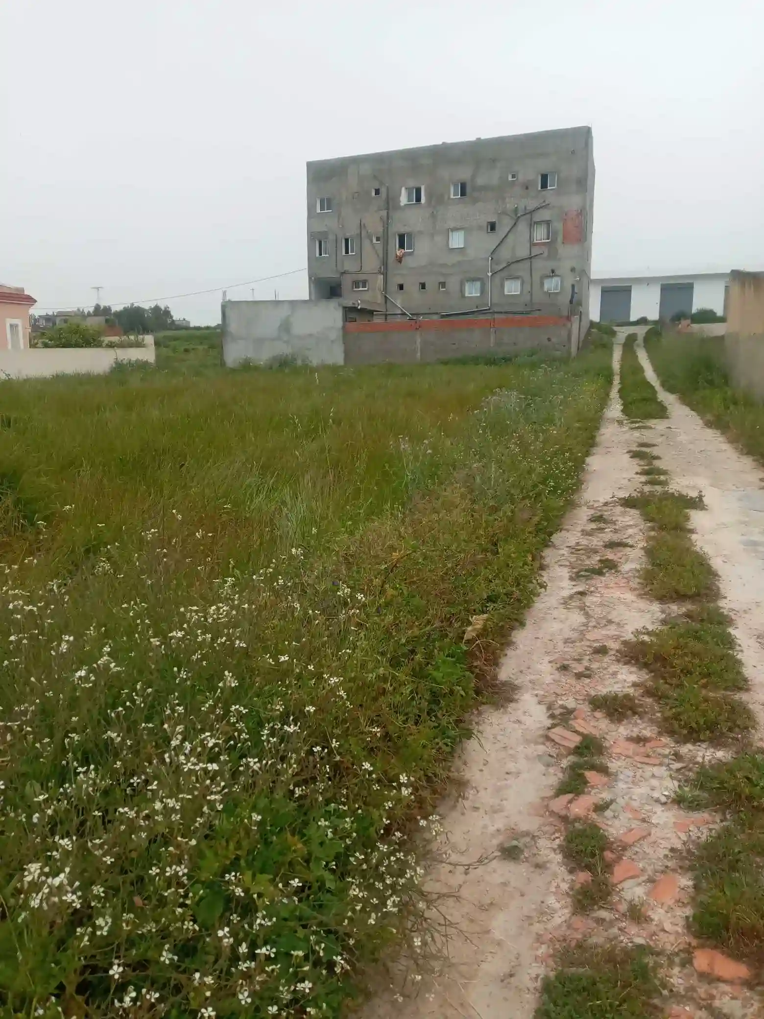 Terrain a Vendre - Vue 5