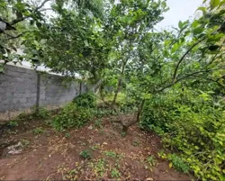 Terrain de 240 m² à Hammamet à Vendre à 110 md 51355351