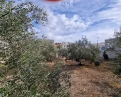Terrain Clôturé de 658 m² à Hammamet Nord à Vendre 51355351