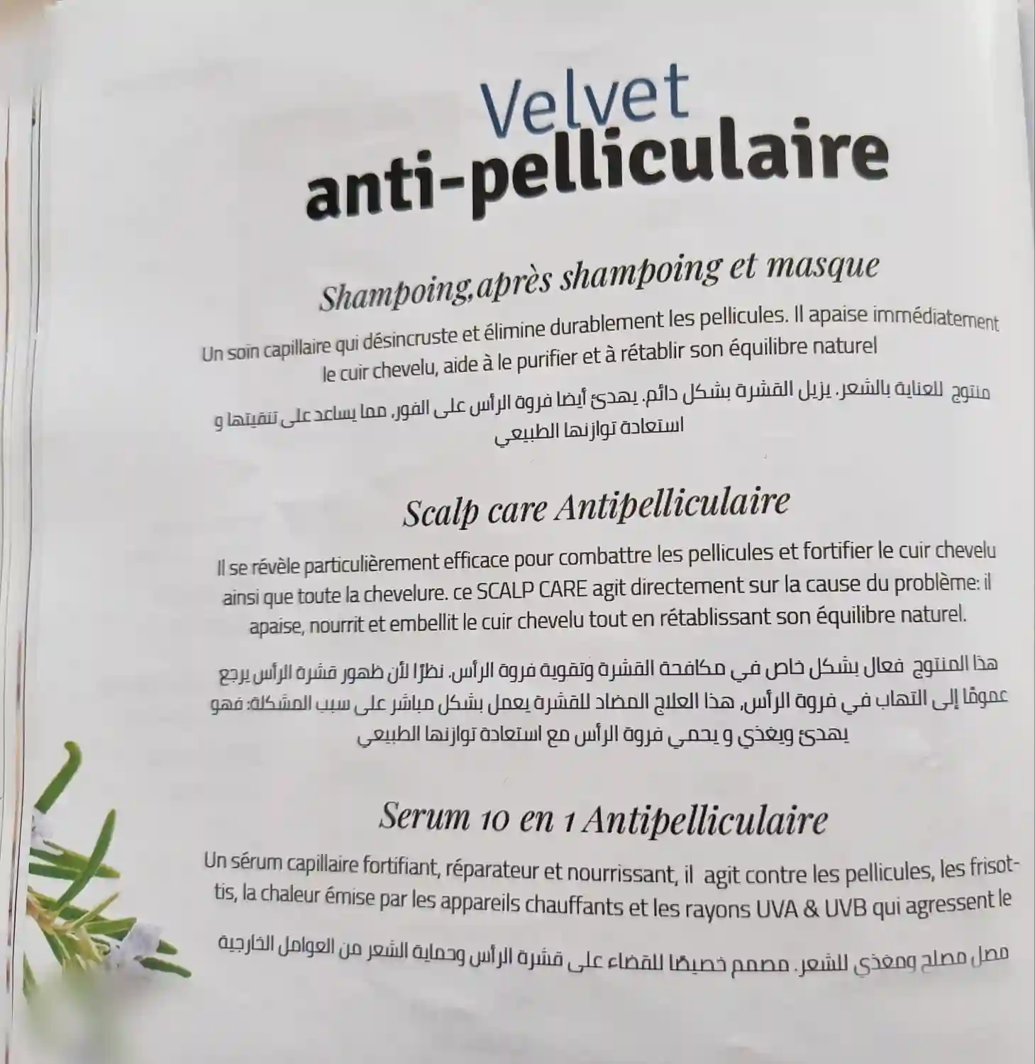 Velvet de vif Pour Cheveux Anti Pelliculaire à Ariana Ville - Vue 1