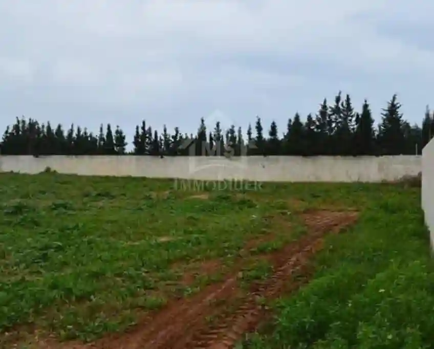 Terrain de 716 m² à Vendre à Hammamet sud 51355351 - Vue 1