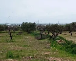 Terrain de 2700 m² à Hammamet sud à Vendre à 200 md 51355351