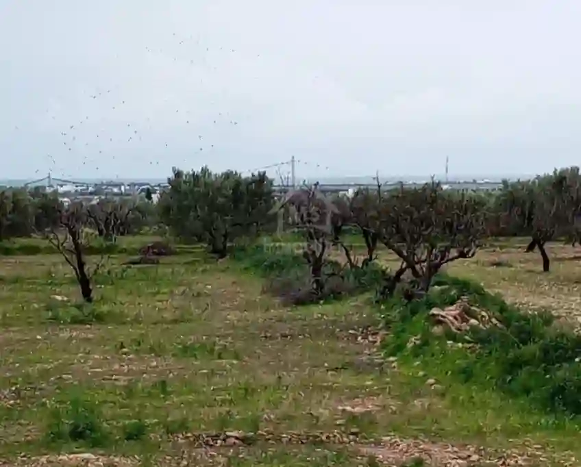 Terrain de 2700 m² à Hammamet sud à Vendre à 200 md 51355351