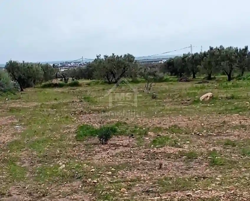 Terrain de 2700 m² à Hammamet sud à Vendre à 200 md 51355351 - Vue 1