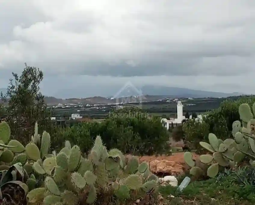Terrain de 2700 m² à Hammamet sud à Vendre à 200 md 51355351 - Vue 2