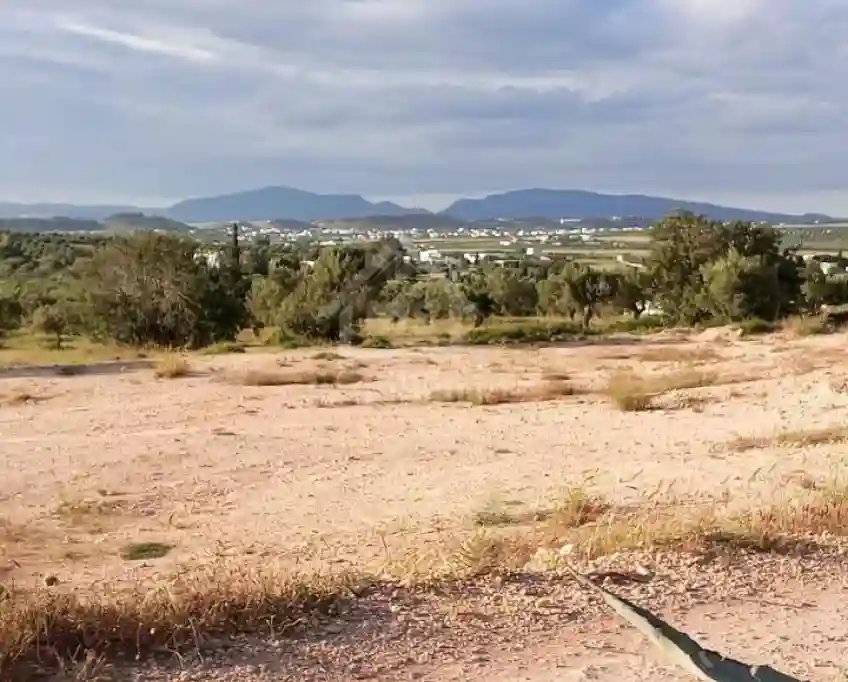 Terrain de 2700 m² à Hammamet sud à Vendre à 200 md 51355351 - Vue 4